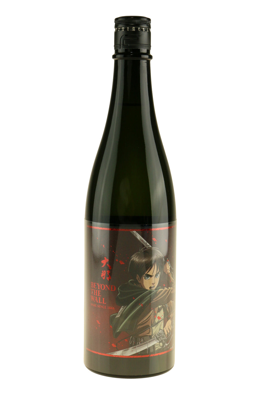 AOT Daina Beyond The Wall Eren Sake