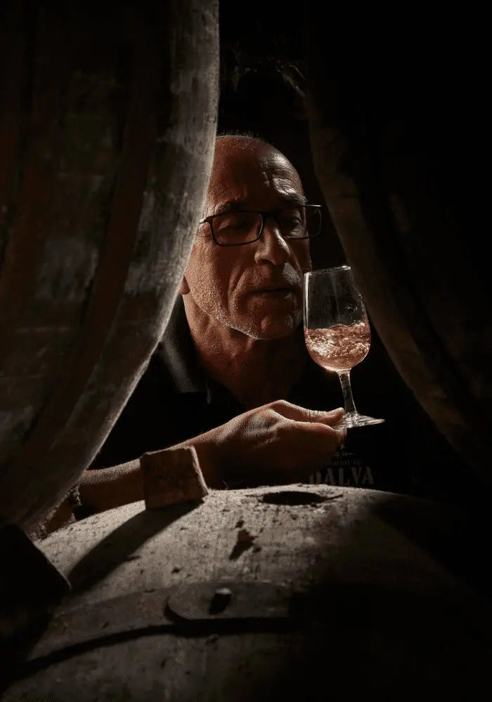 🍷Dalva Portvins smagning🍷