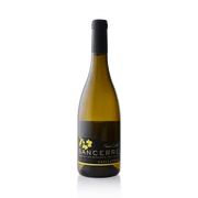 Fabien Cirotte "Les Caillottes" Sancerre