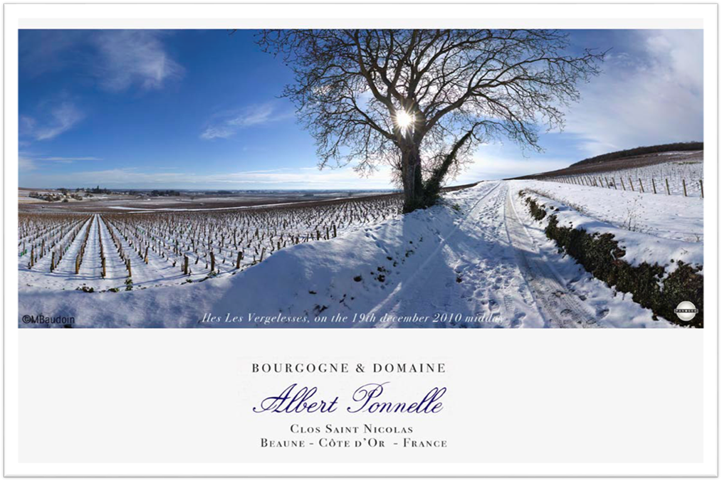 Eksklusiv Bourgogne smagning med besøg fra champagne.